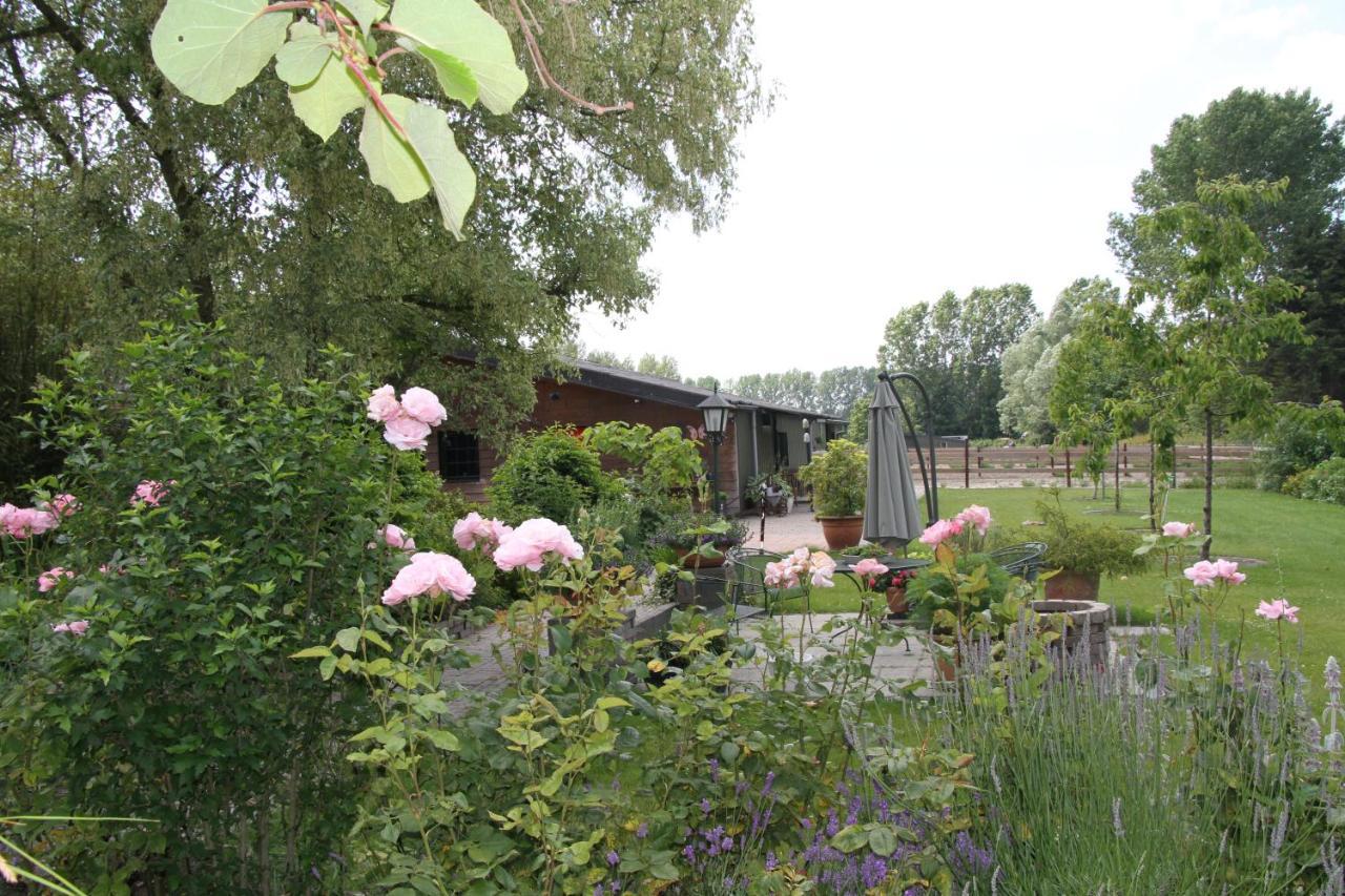 B&B De Rekkendonken Liempde Exterior foto
